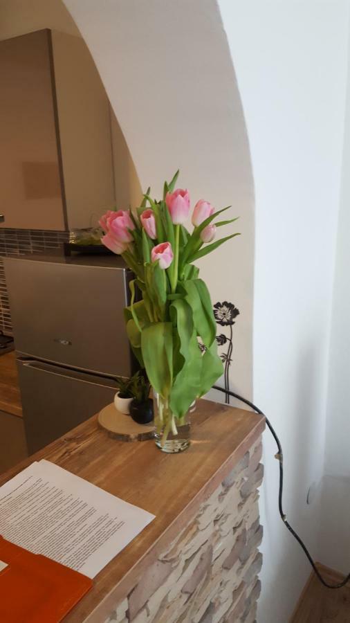 Apartman Tara Zagrzeb Zewnętrze zdjęcie